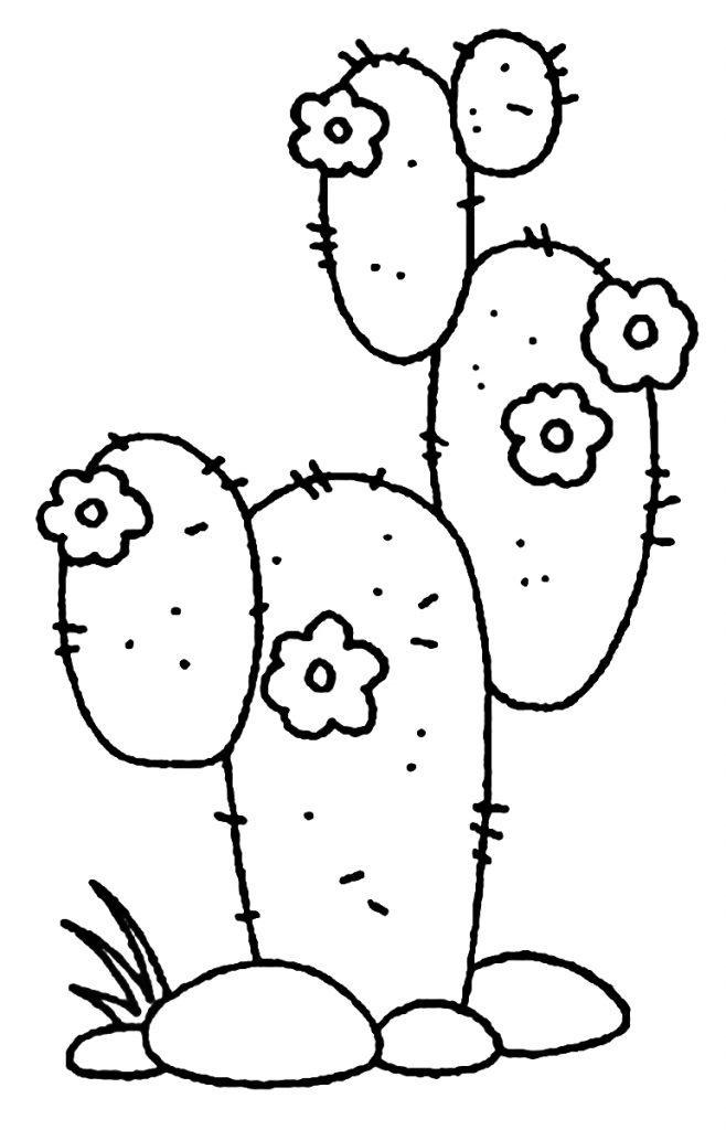 Background Cactus  Festa do cacto, Cactos desenho, Arte com cactos